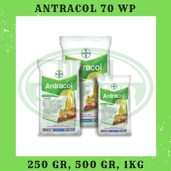 Antracol 70 WP Bayer - Fungisida Kontak - Protektif