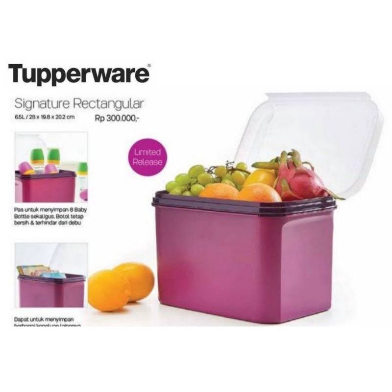 Signature Rectangular 6,5L (1)