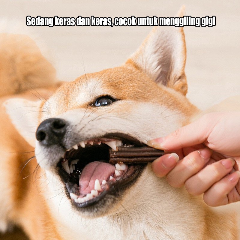 210g My Dog Nutrition Dental Sticks Tongkat Gigi Nutrisi Molar Stick (20+ sticks) Dentastix Dentastick Pet Dog Snack Pet Camilan Geraham untuk Anjing