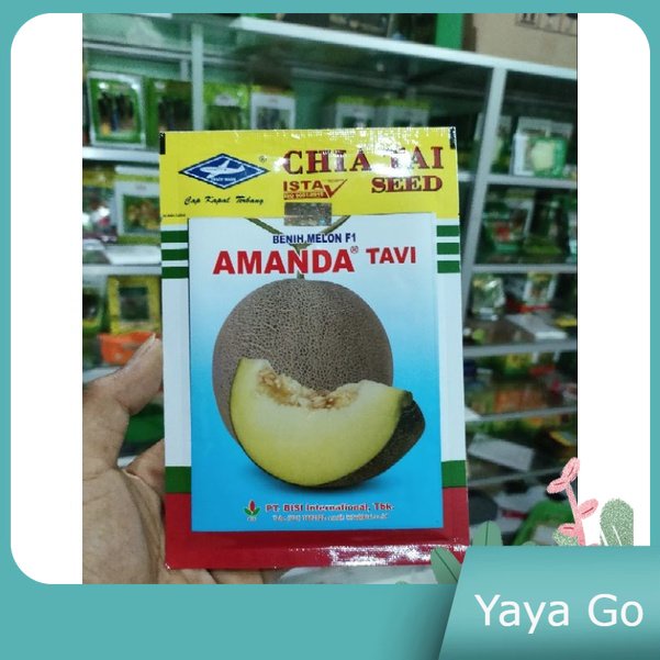 Melon Amanda Tavi 13gr Original Pabrik Tahan Virus Buah Disukai Pasar
