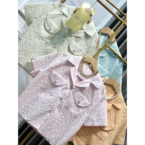 FW B1451 Kemeja Import Premium