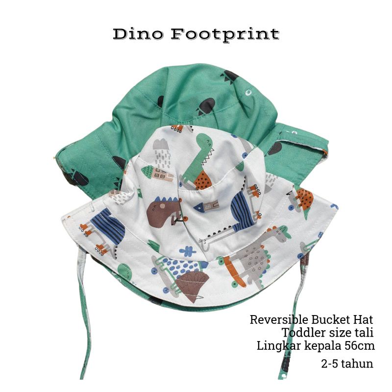 Dino Footprint