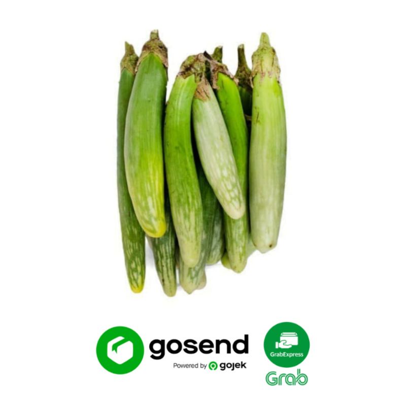 

Terong Medan 250 Gram