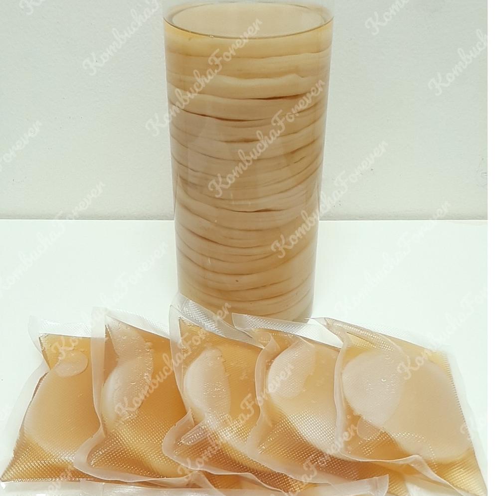 

Grosir!! Bibit Scoby Jamur Kombucha Premium Organik 6p0kv