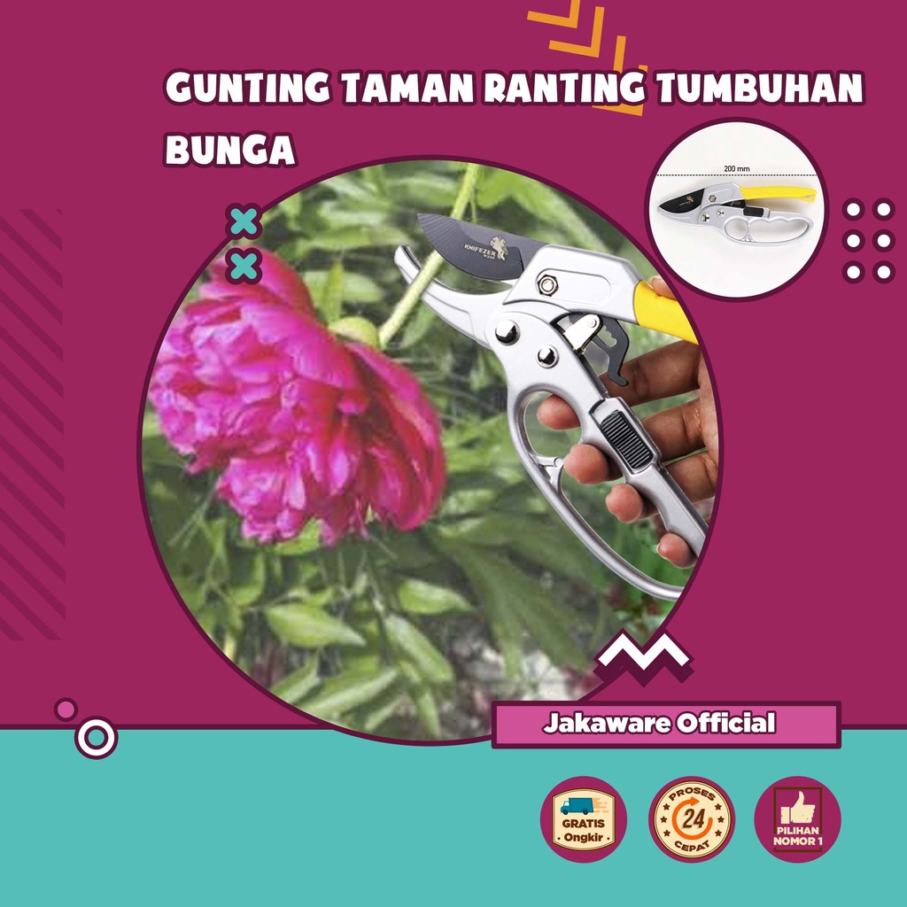 

KNIFEZER GUNTING TAMAN RANTING GARDEN PRUNING SHEAR SCISSORS ALAT MENGGUNTING TUMBUHAN RANTING POHON BUNGA TANG POTONG KABEL CUTTER WIRE NIPPER MINI KECIL PEMOTONG USA KUPAS TAJAM BESI KERAJINAN TANGAN KOMBINASI 5 NITI LANCIP RING JERUJI RUJI KNIP KOIL