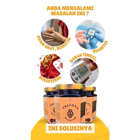 

Madu Klanceng Asli