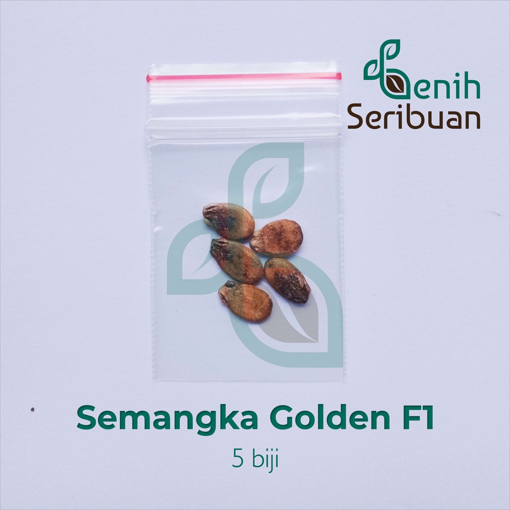 Benih Seribuan - 5 Bibit Buah Semangka Golden Kuning F1 Hibrida