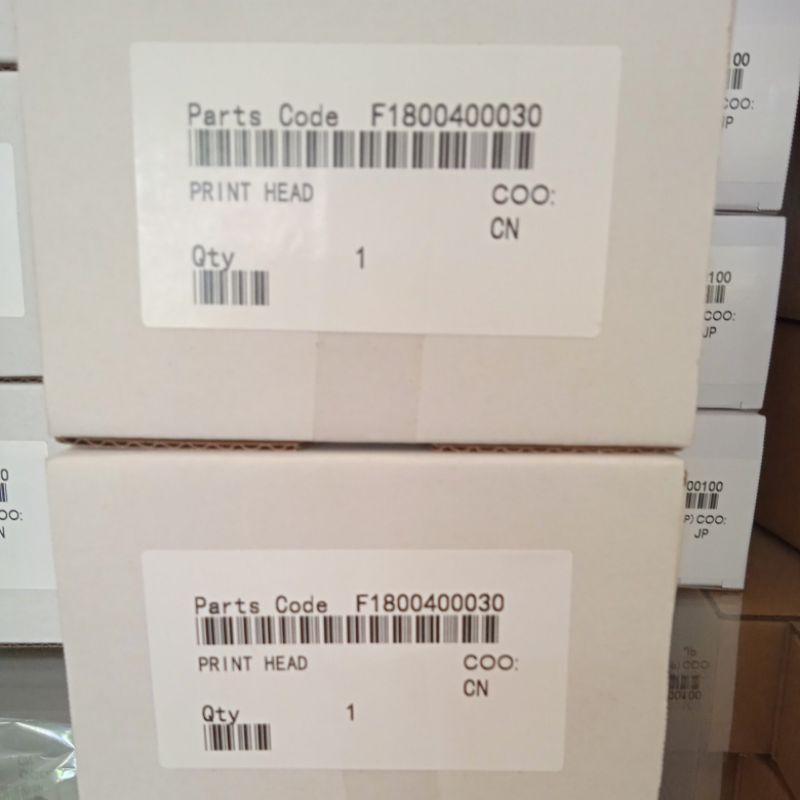 printhead Epson L 800/ 805