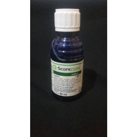 Fungisida Score 80ml