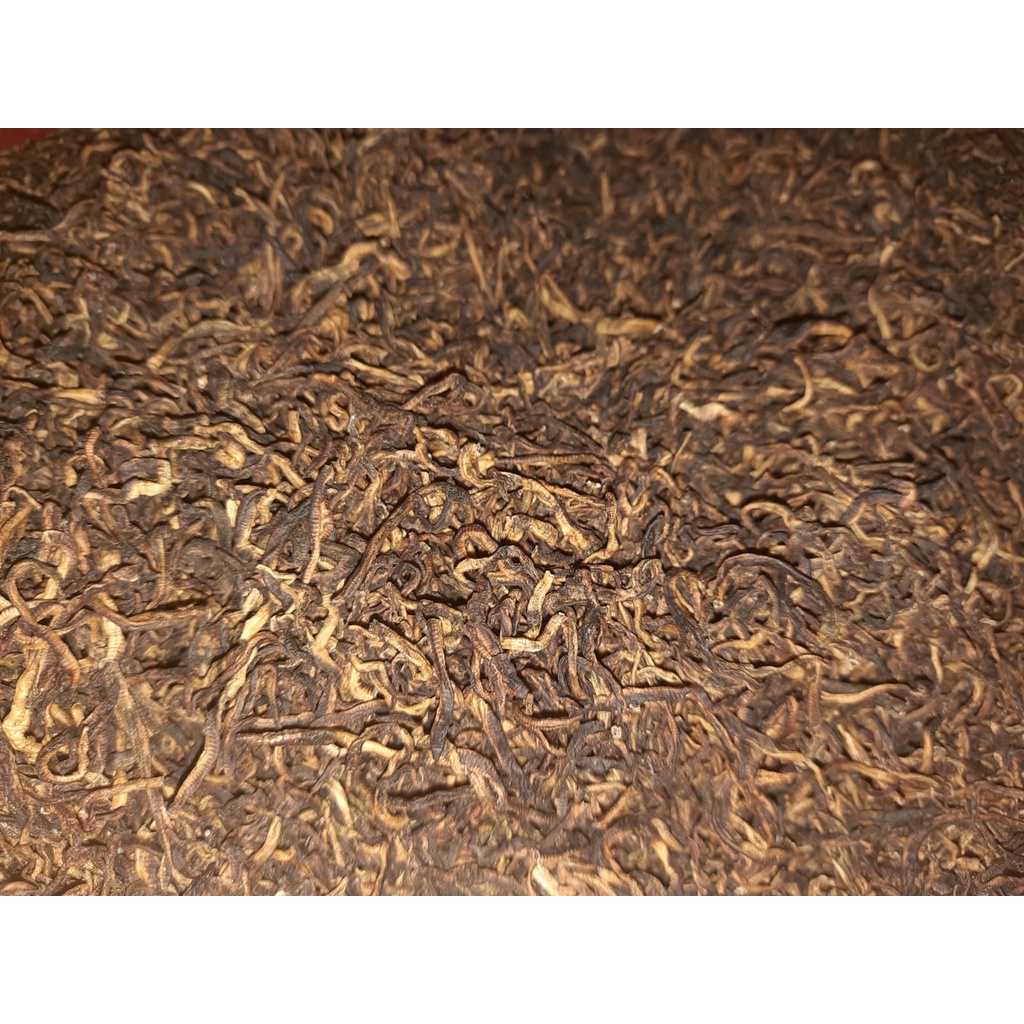 cacing lumbricus kering/ cacing kering/ cacing lumricus rubellus