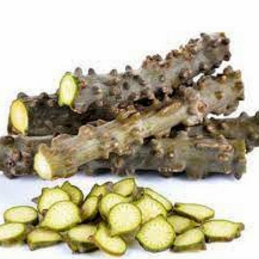 

Brotowali 500 gr segar bratawali segar langsung di petik bisa di tanam kembali