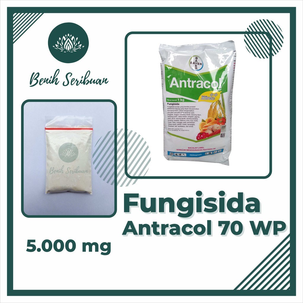 Benih Seribuan - Fungisida Antracol 70 WP + Zinc