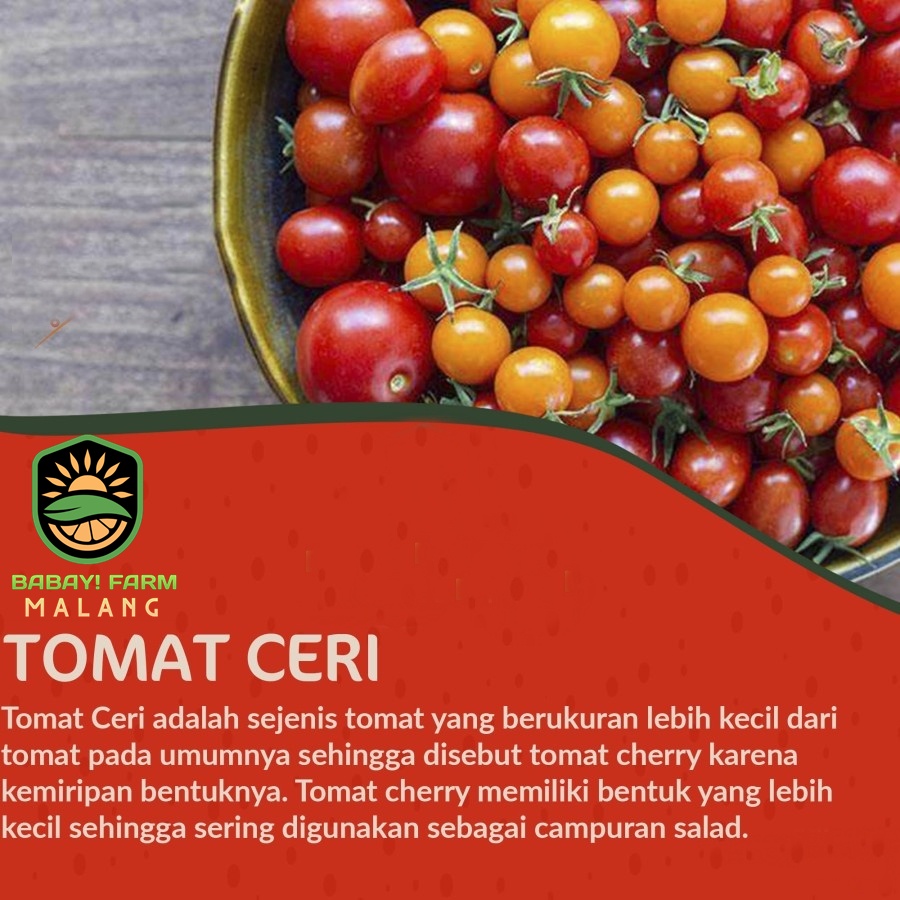 

Tomat Ceri / Cherry Tomato 250 500 gr / 1 kg