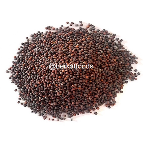 

PESAN MIN 15 RIBU Black Mustard Seed / Biji Sawi Hitam Import / Rai Seeds