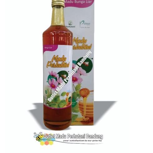 

Promo | JKH|Madu Perhutani Bunga Liar 650 ml