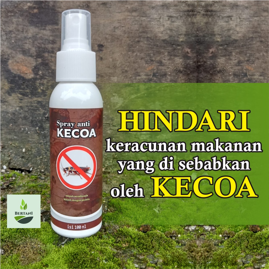 OBAT KECOA Super Ampuh Untuk di Rumah dan Kendaraan 100ml