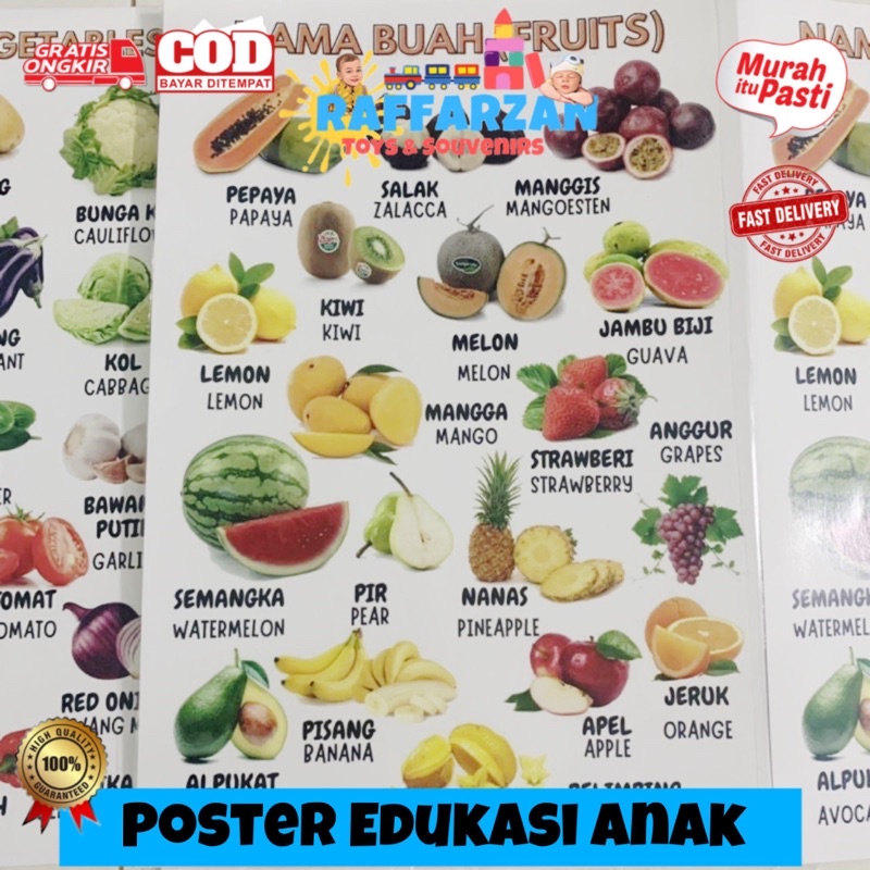 Poster Edukasi Anak Poster Nama Hewan Poster Nama Sayur Poster Nama Binatang Poster Nama Buah