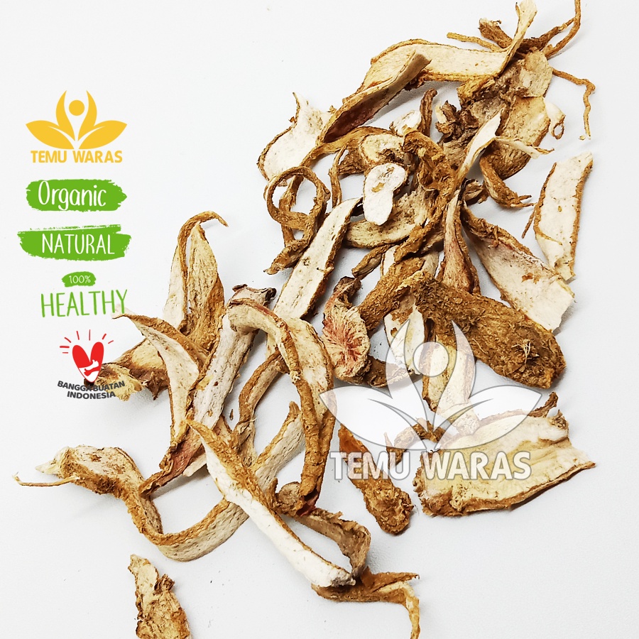

Kolesom Jawa 50gr , SOM jawa atau Ginseng Jawa Kering - Asli Hutan