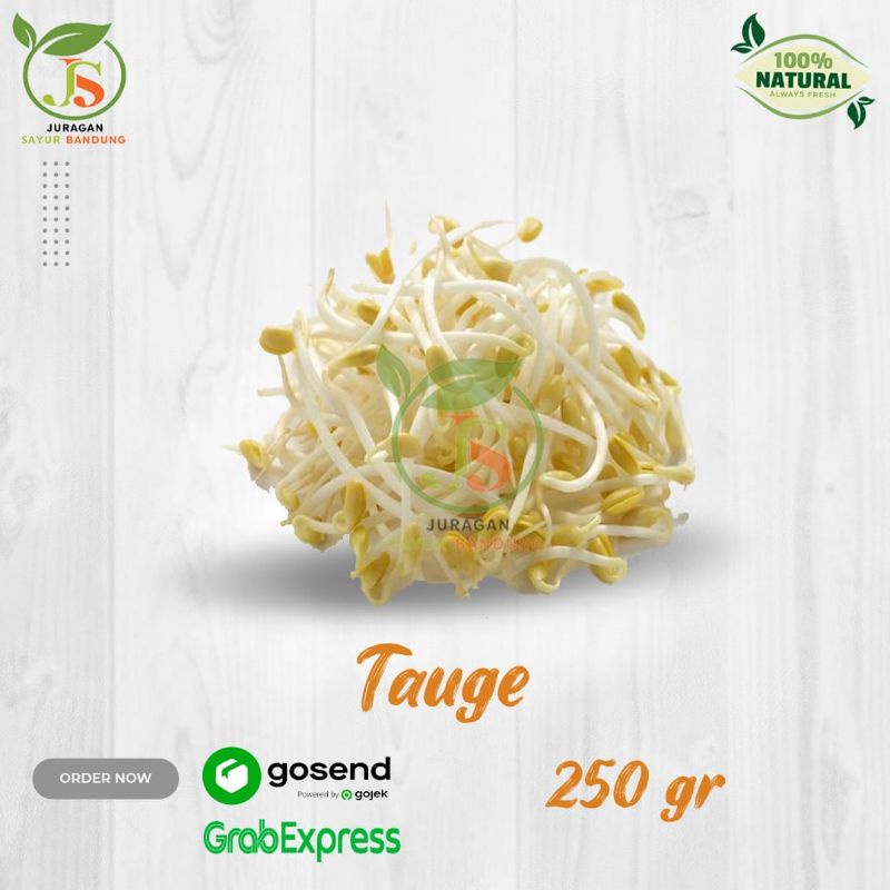 

Tauge 250 gr
