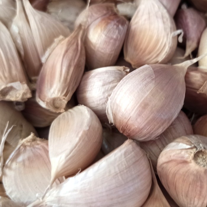 

bawang putih kating 1kg