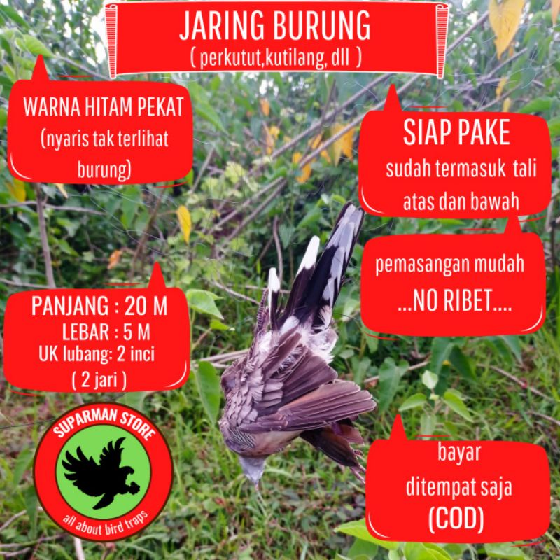 jaring burung perkutut dan burung lainnya