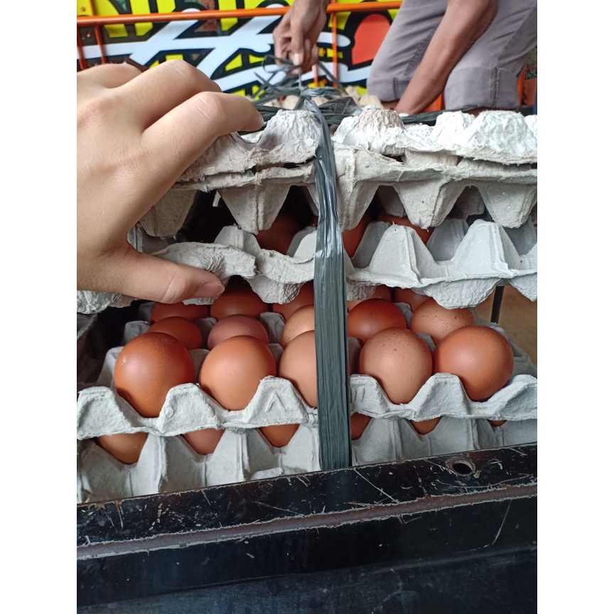

TELUR AYAM NEGERI OMEGA ORGANIK 15 BUTIR HENMART
