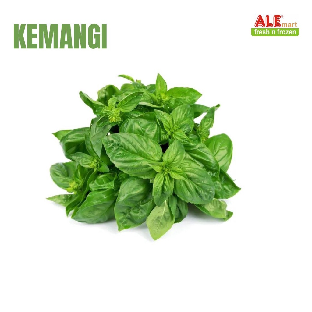 

Daun kemangi fresh 1 ikat, daun kemangi segar, kemangi fresh
