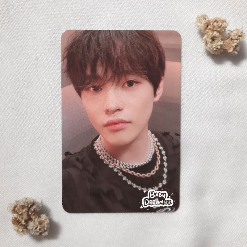 PC Chenle Luggage Sticker Dreaming photocard nct dream official