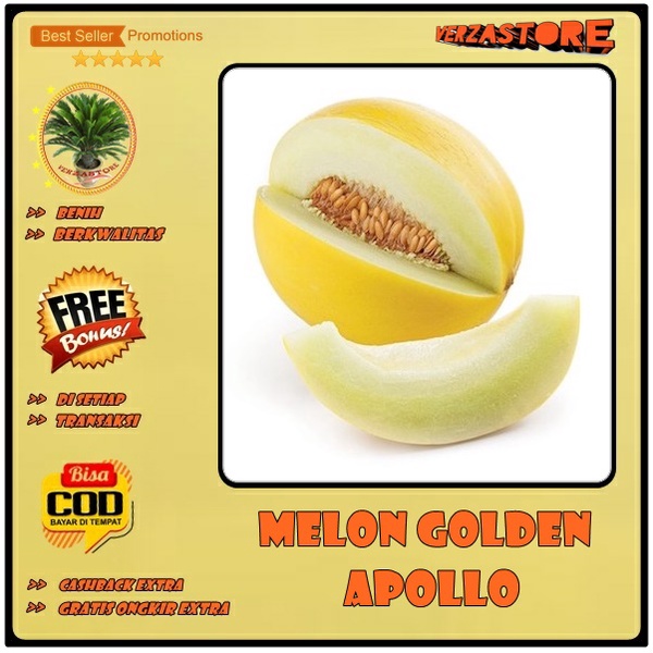 biji/benih/bibit buah melon golden apollo /5 biji