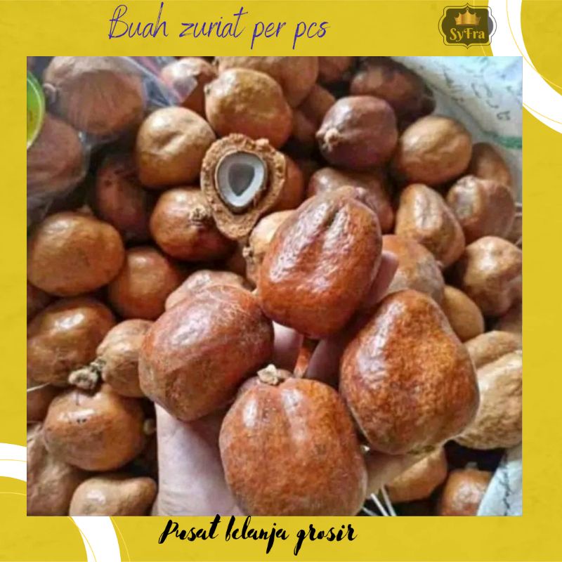 

Buah Zuriat Promil perbiji