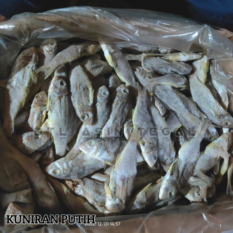 

Ikan Asin Kuniran Putih Isi Kemasan 500gr Murah