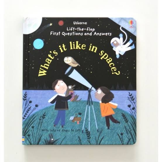 

buku cerita anak usborne lift the flap