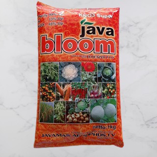 KNO 3 Super Java Bloom