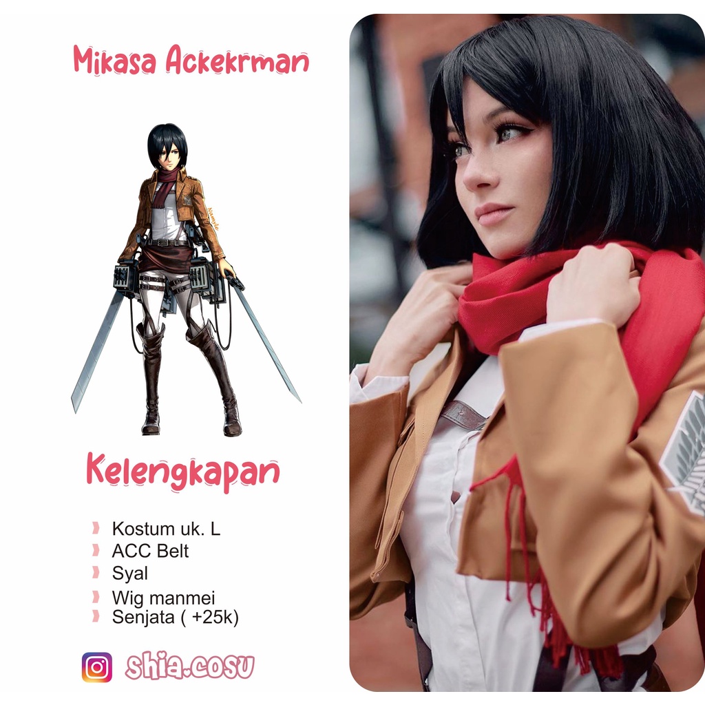 Sewa Cosplay Mikasa