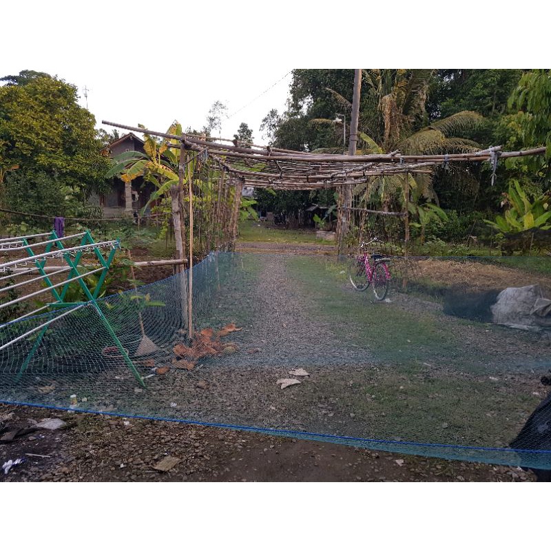 jaring anco nilon lubang 1-1/2 inchi (2cm x 2cm) benang D6