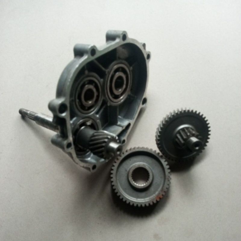 Rasio xeon old 44D original