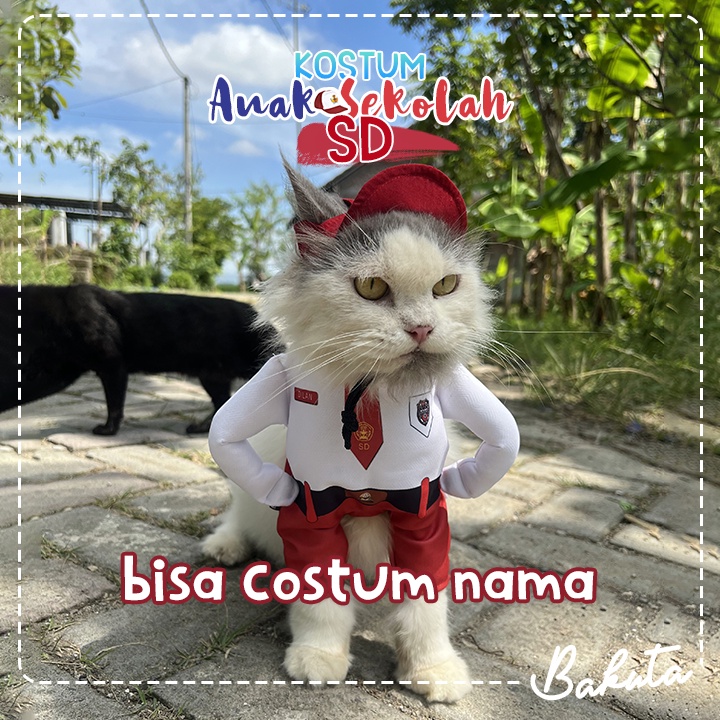 Kostum Anak Sekolah untuk kucing dan anjing Baju Berdiri anak SD / Kostum kucing Murah / Baju Kucing Tangerang size S-XL