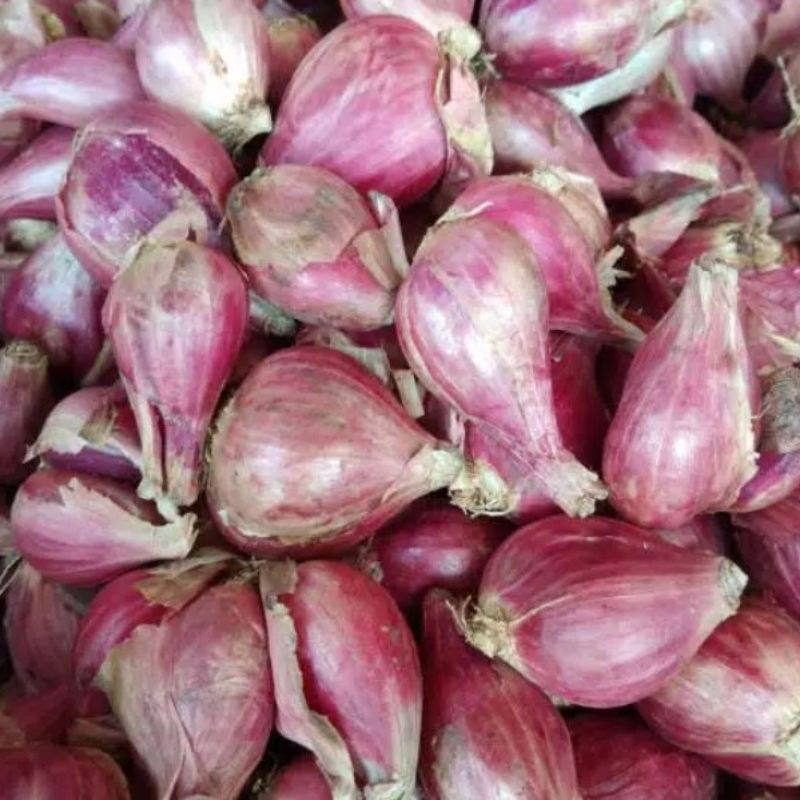 

bawang merah 500 kg