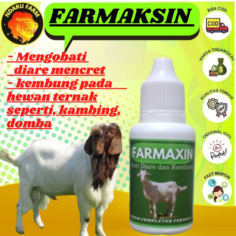 Obat Kembung Mencret Kambing Domba NDARUFRAM