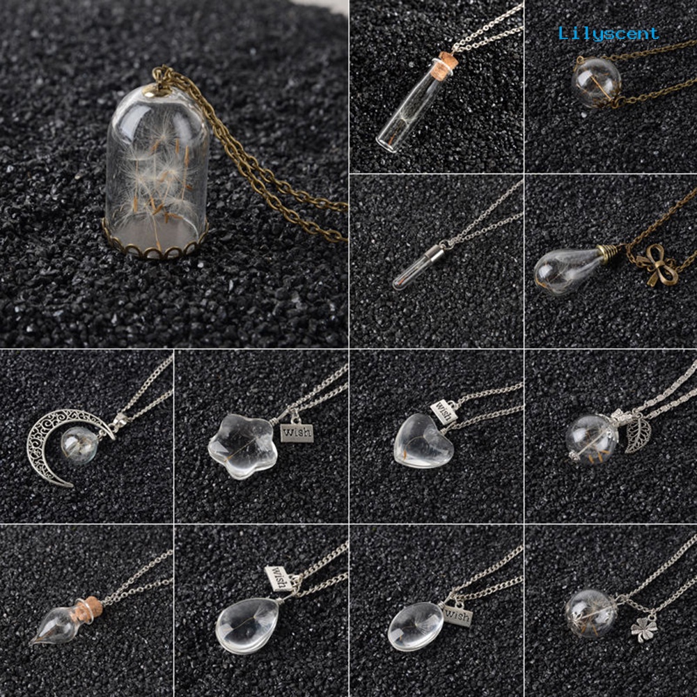 Ls Unisex Dried Dandelion Bow-knot Pendant Glass Wish Bottle Kalung Rantai Panjang