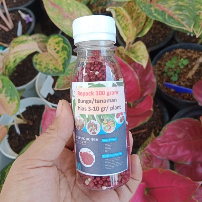 Pupuk Merah Aglonema Slow release , kemasan repack 100 gr,pupuk bunga