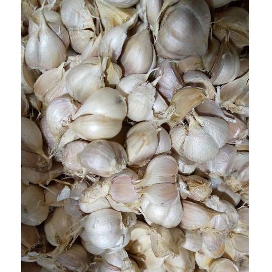 

➮Ready Stok 00DPD BAWANG PUTIH KATING C75 Diskon