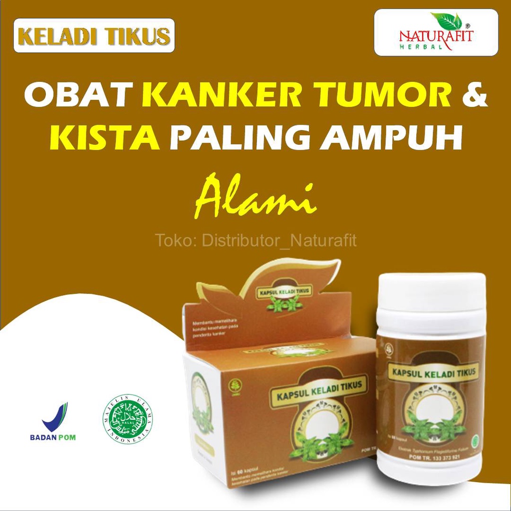 Obat Kanker Tumor Herbal Serviks Rahim Payudara Ganas Miss V Kewanitaan Vagina Hati Obat Benjolan Pa
