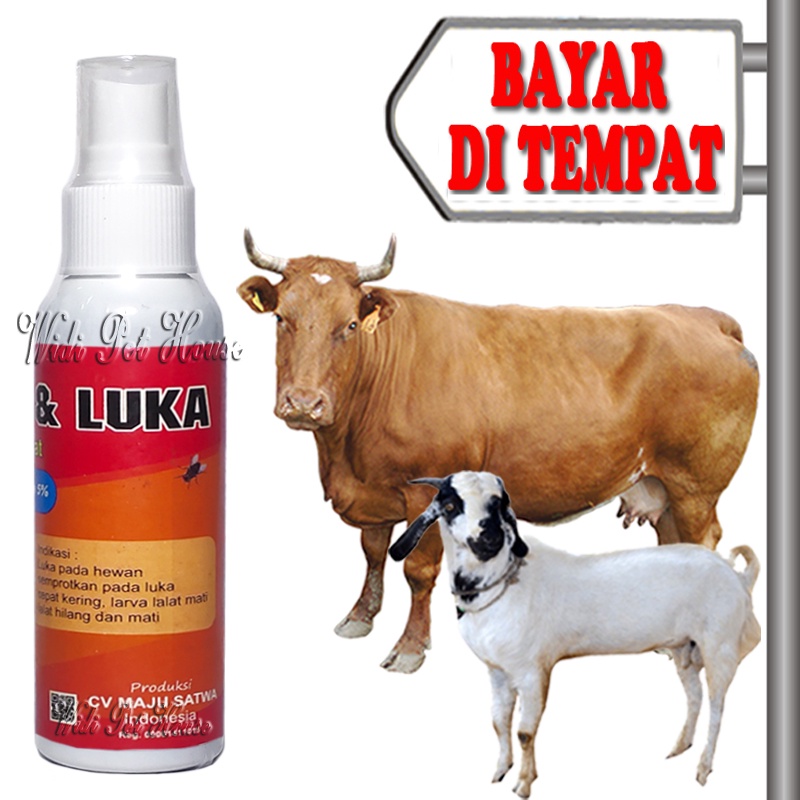 Obat Koreng Buduk Jamur Sapi Kambing Semprot Anti Luka Lalat