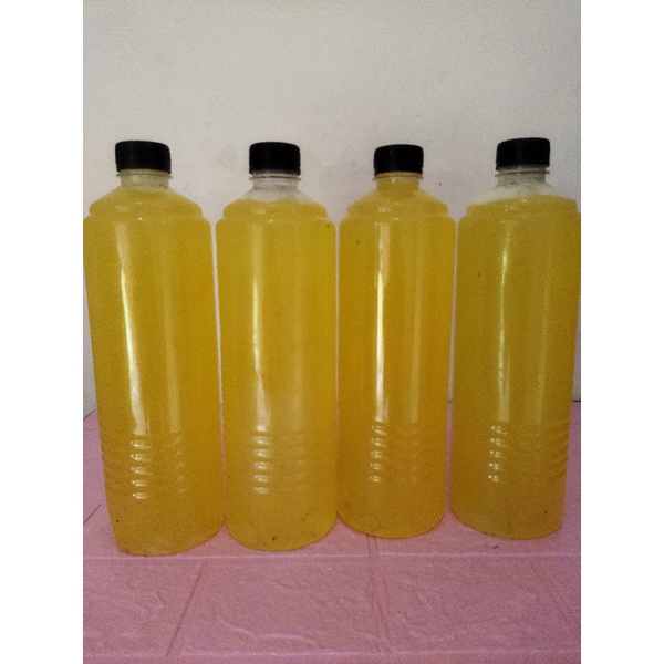 

Putih telur mentah fresh 1kg/pcs