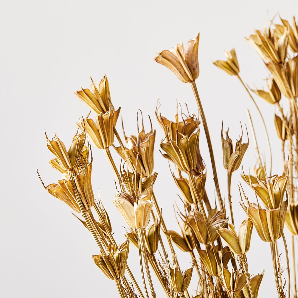 DRIED NIGELLA FLOWER