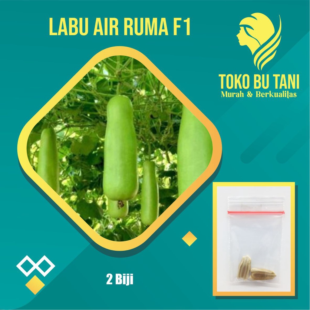 Paket 4 Benih Labu Air Siap Semai Terjangkau