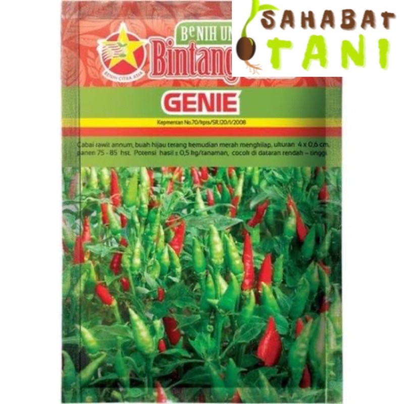 Benih Cabe Hijau Genie Repack 100 Biji