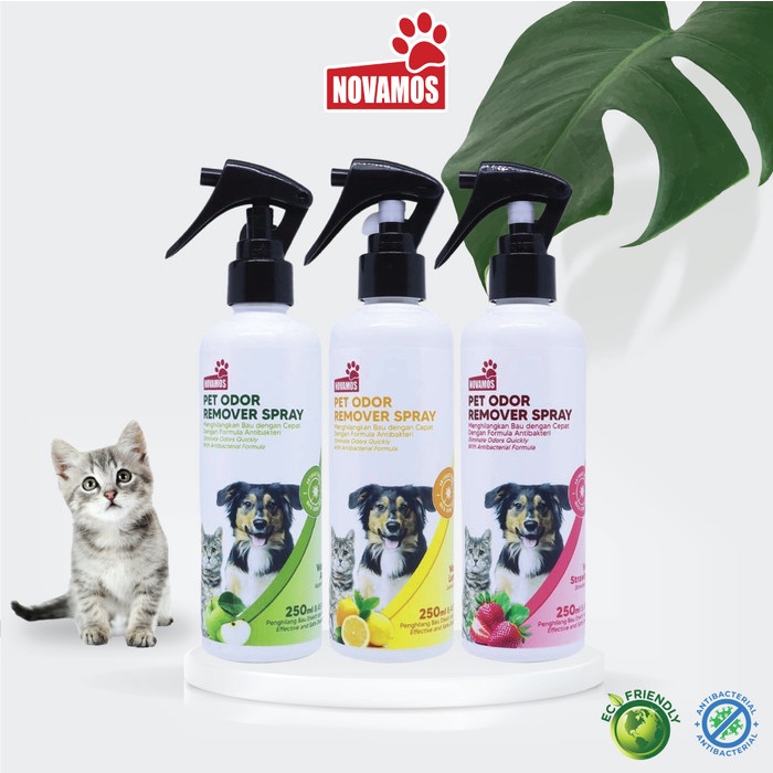 Disin Pet Odor Remover Spray Novamos 250Ml (8002800563)
