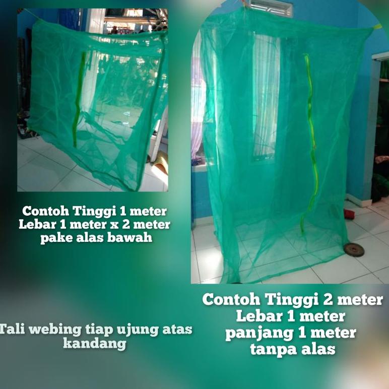 [CCE8K4662] kandang magot bsf 2 x 1 x 2